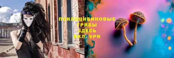 ешки Пестово