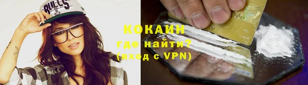 дживик Шали