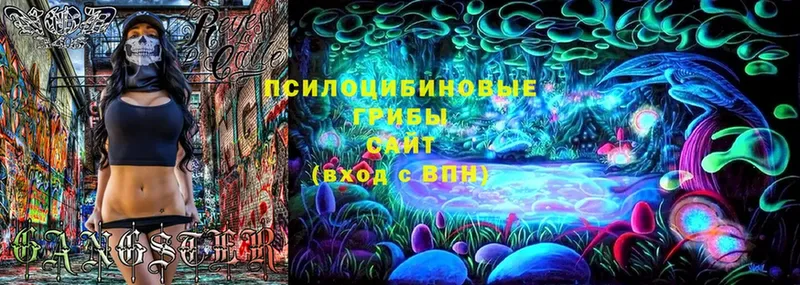 Псилоцибиновые грибы Psilocybe  Белёв 